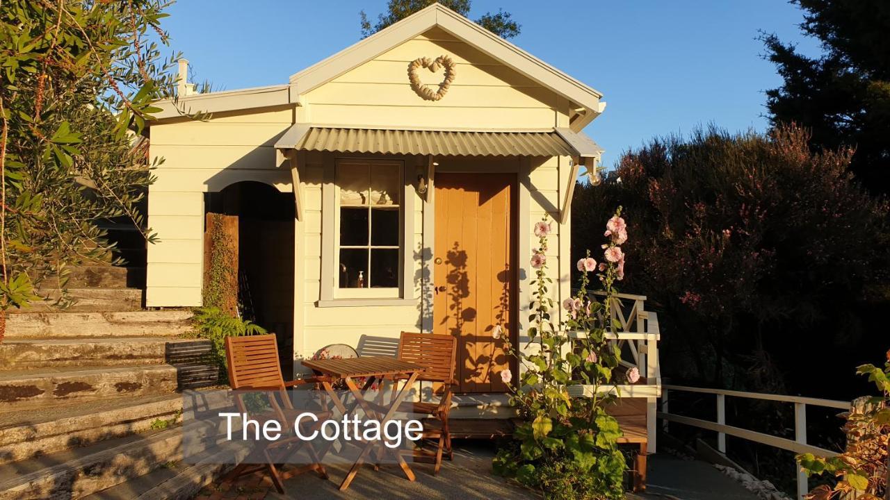 Bluff Hill Bed & Breakfast Napier Esterno foto