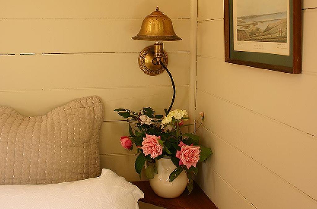 Bluff Hill Bed & Breakfast Napier Esterno foto